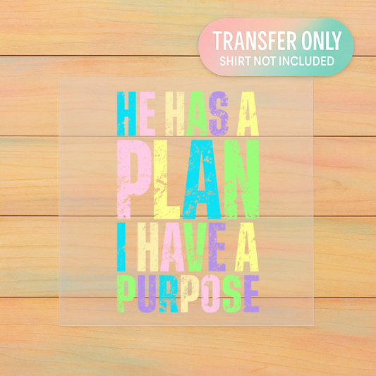 He Has a Plan DTF Transfer – Christian Faith Shirt Design | Adult Size ✝️🌈