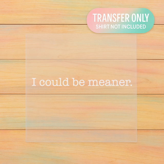 I Could Be Meaner DTF Transfer | Minimalist Funny Shirt Print | Sarcastic Quote Design