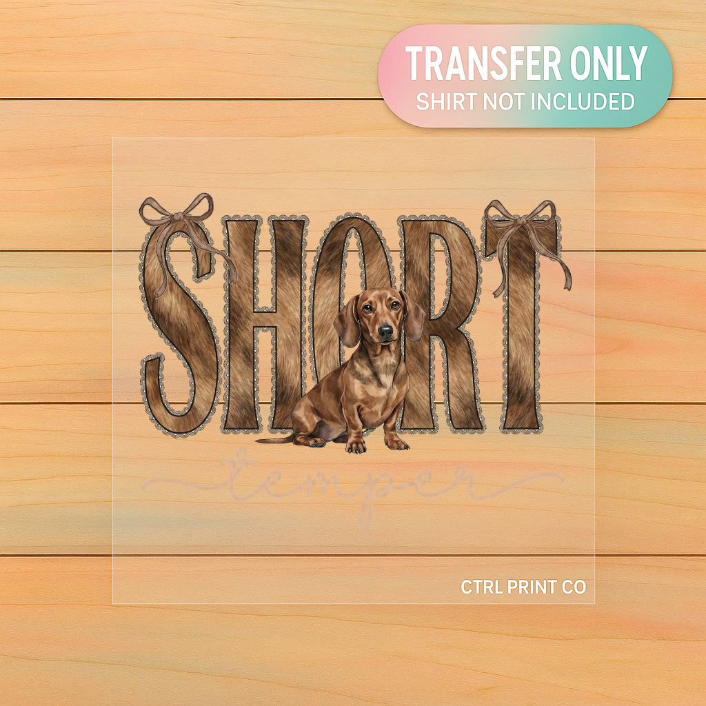 Short Temper Dachshund | Adult DTF Transfer | Ready to Press