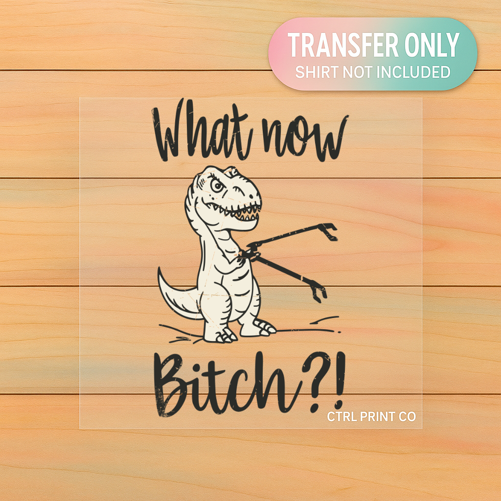 What Now Dinosaur Funny Sarcastic | Adult DTF Transfer | Ready to Press