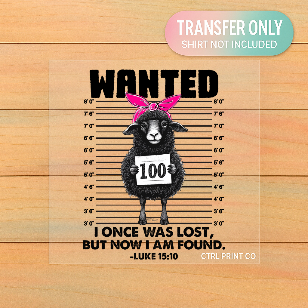 Once Was Lost Sheep | Adult DTF Transfer | Ready to Press