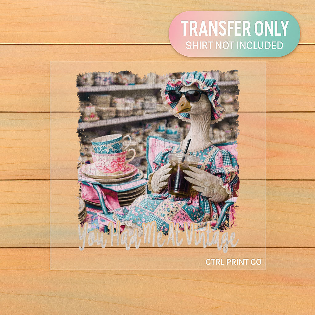 You Had Me At Vintage Goose | Adult DTF Transfer | Ready to Press