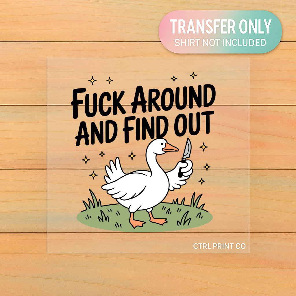 F Around & Find Out Goose | Adult DTF Transfer | Ready to Press
