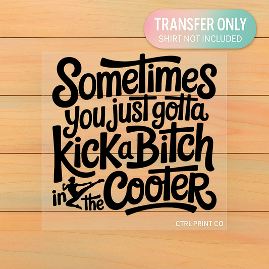Kick A Bitch in the Cooter Funny Sassy | Adult DTF Transfer | Ready to Press