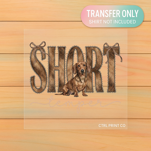 Short Temper Dachshund | Adult DTF Transfer | Ready to Press