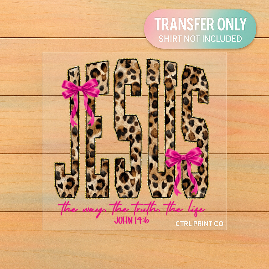 Jesus The Way The Truth The Life John 14:6 | Adult DTF Transfer | Ready to Press
