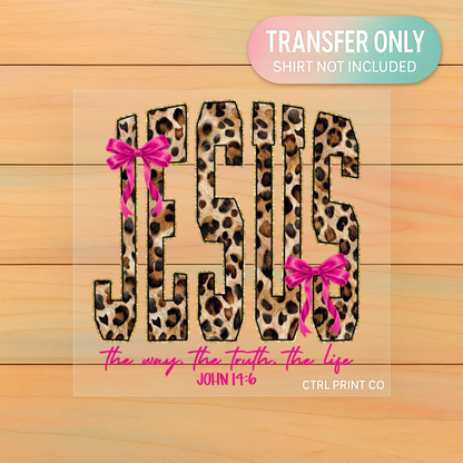 Jesus The Way The Truth The Life John 14:6 | Adult DTF Transfer | Ready to Press