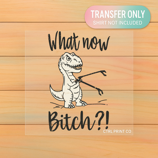 What Now Dinosaur Funny Sarcastic | Adult DTF Transfer | Ready to Press